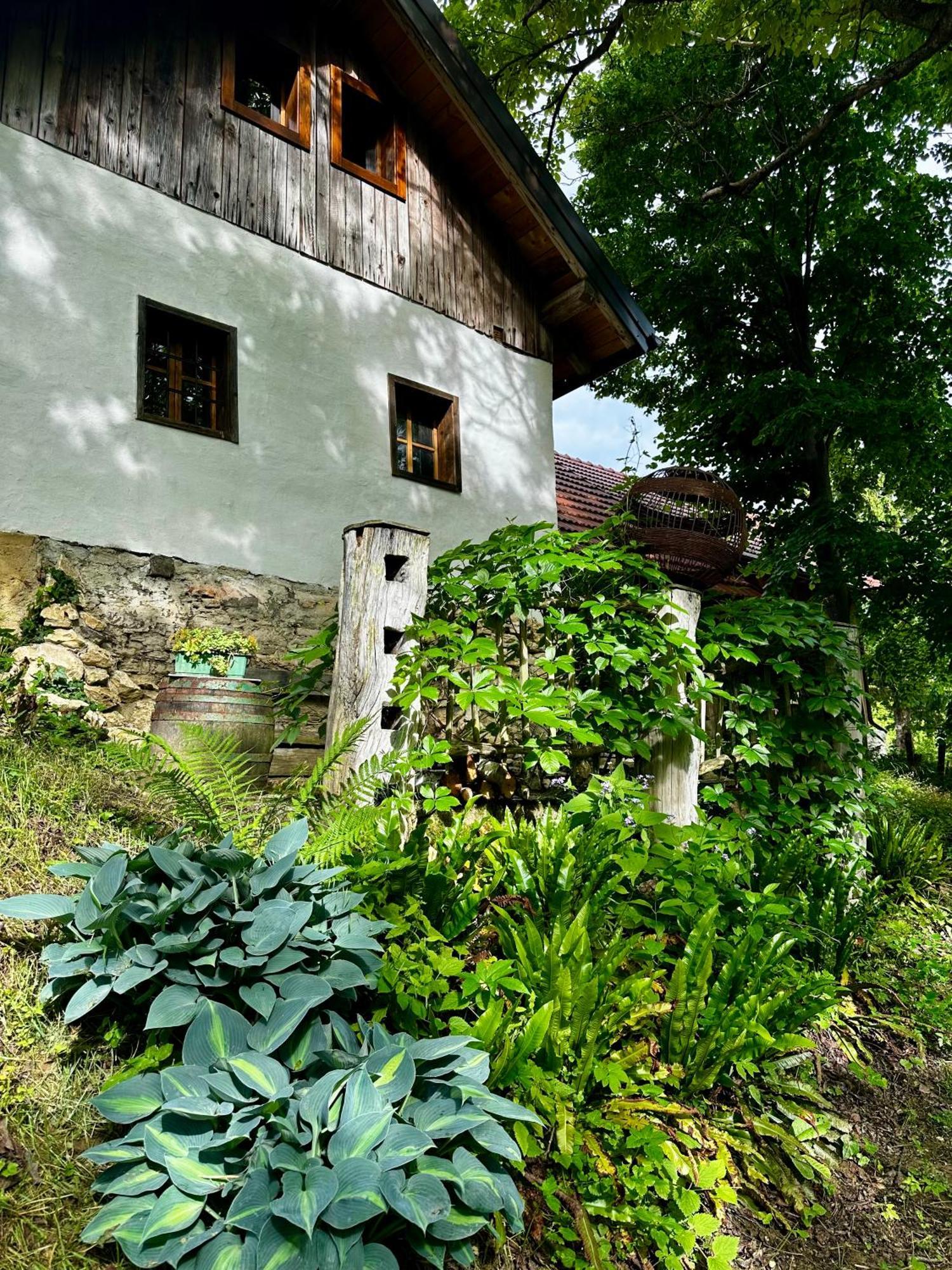Hostal Estate Ana Ptuj Exterior foto